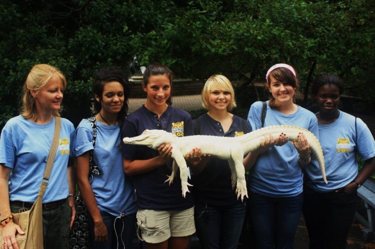 Conservation Discovery Corps.