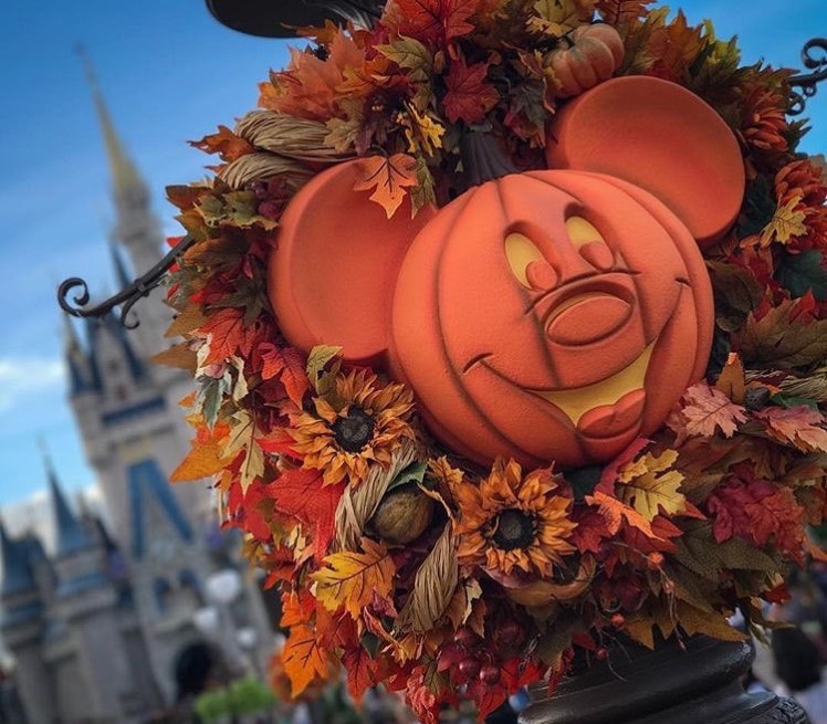 Fall in Disney World