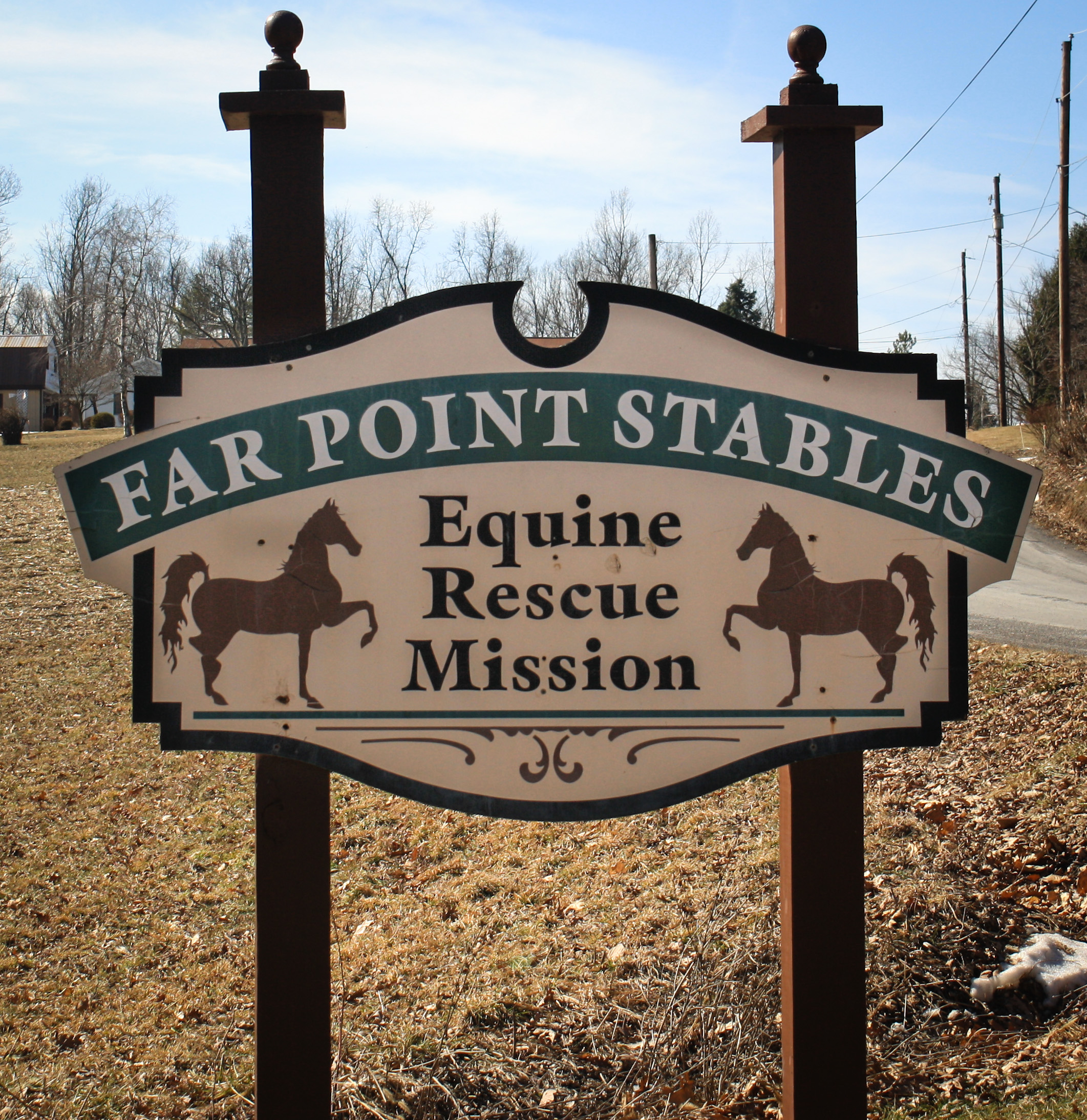 Equine Rescue – A Life Full of Laughter