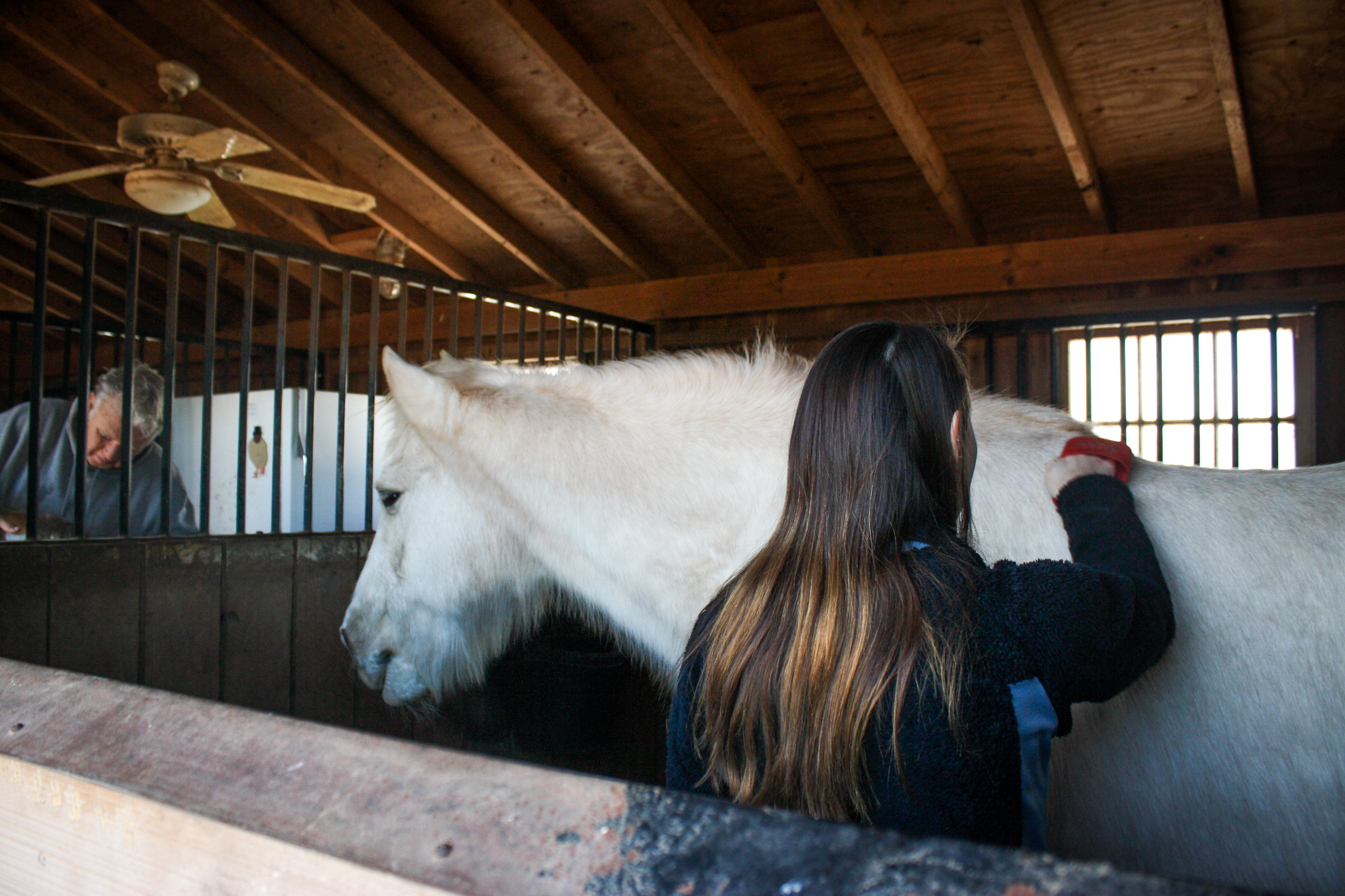 Equine Rescue – A Life Full of Laughter