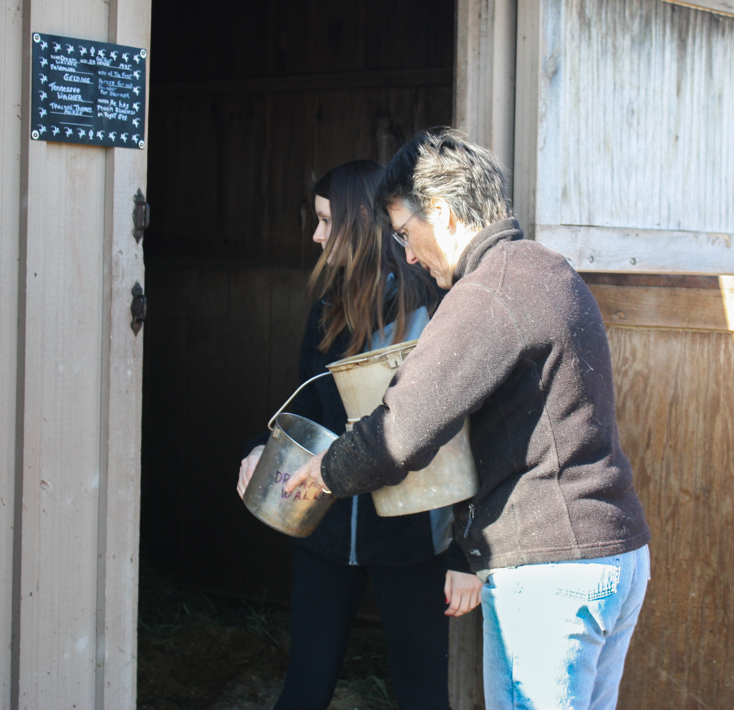Equine Rescue – A Life Full of Laughter