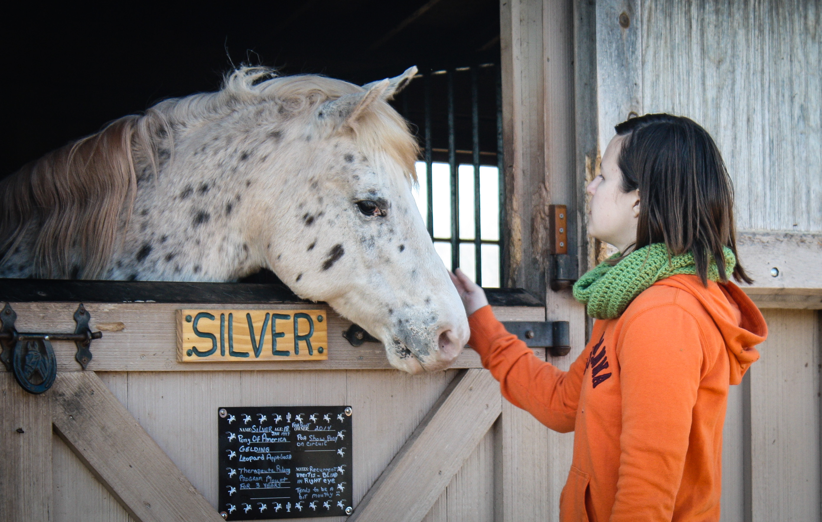 Equine Rescue – A Life Full of Laughter